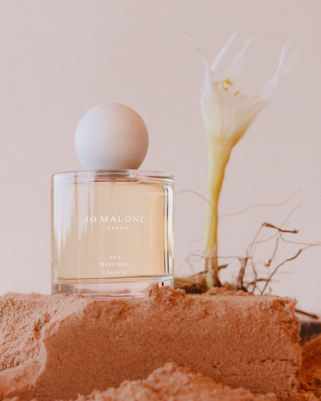 JO ジョーマローン ナツメグ&ジンジャーコロン MALONE NUTMEG &