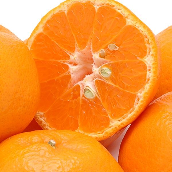 愛媛県産 ポンカン ギフト用5kg - 愛媛県産 ポンカン