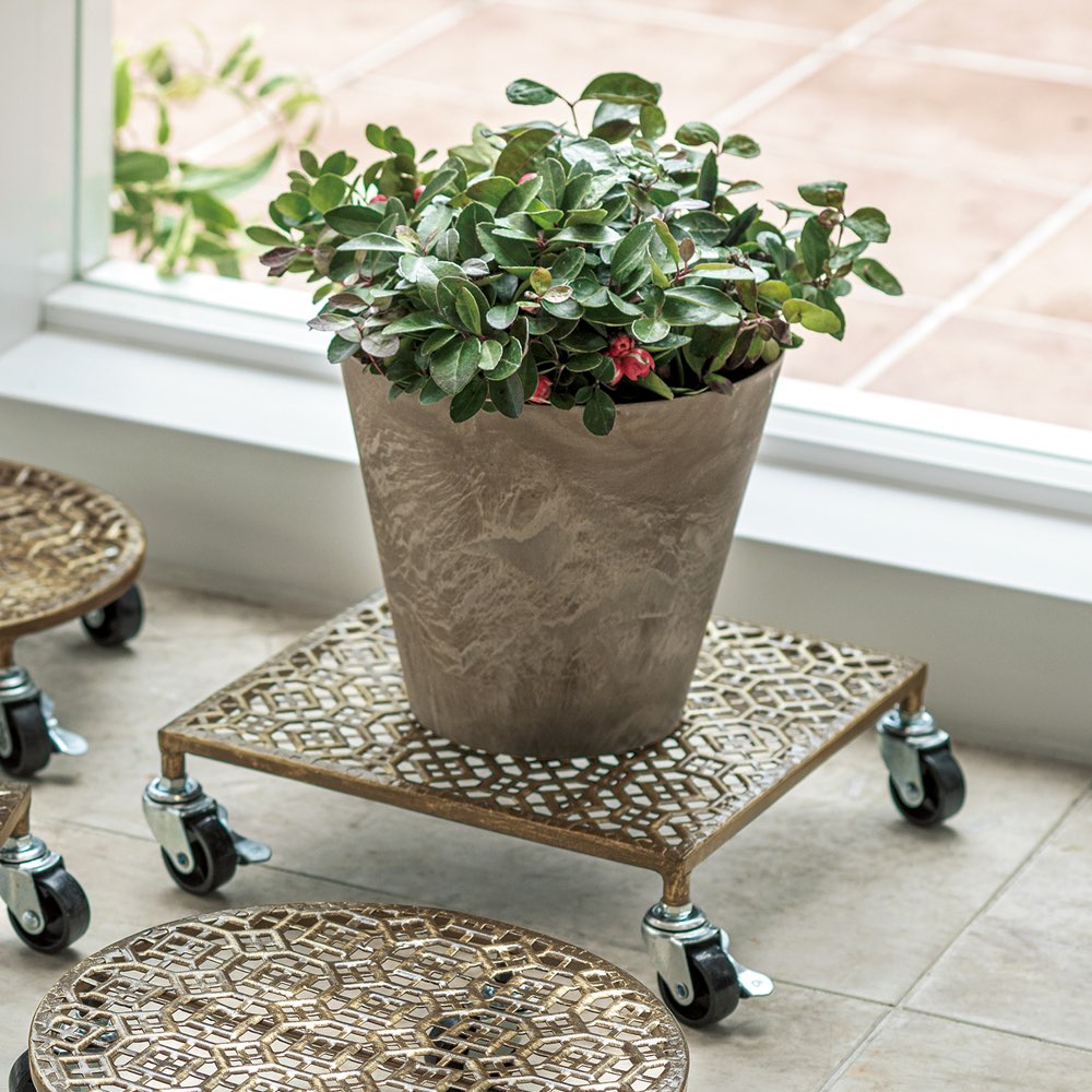 エレガントキャスター付き鉢台・角2個組 通販 - ディノス