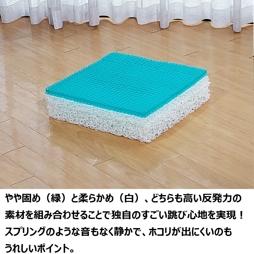 パーフェクトエクサ ディノスANAmall店