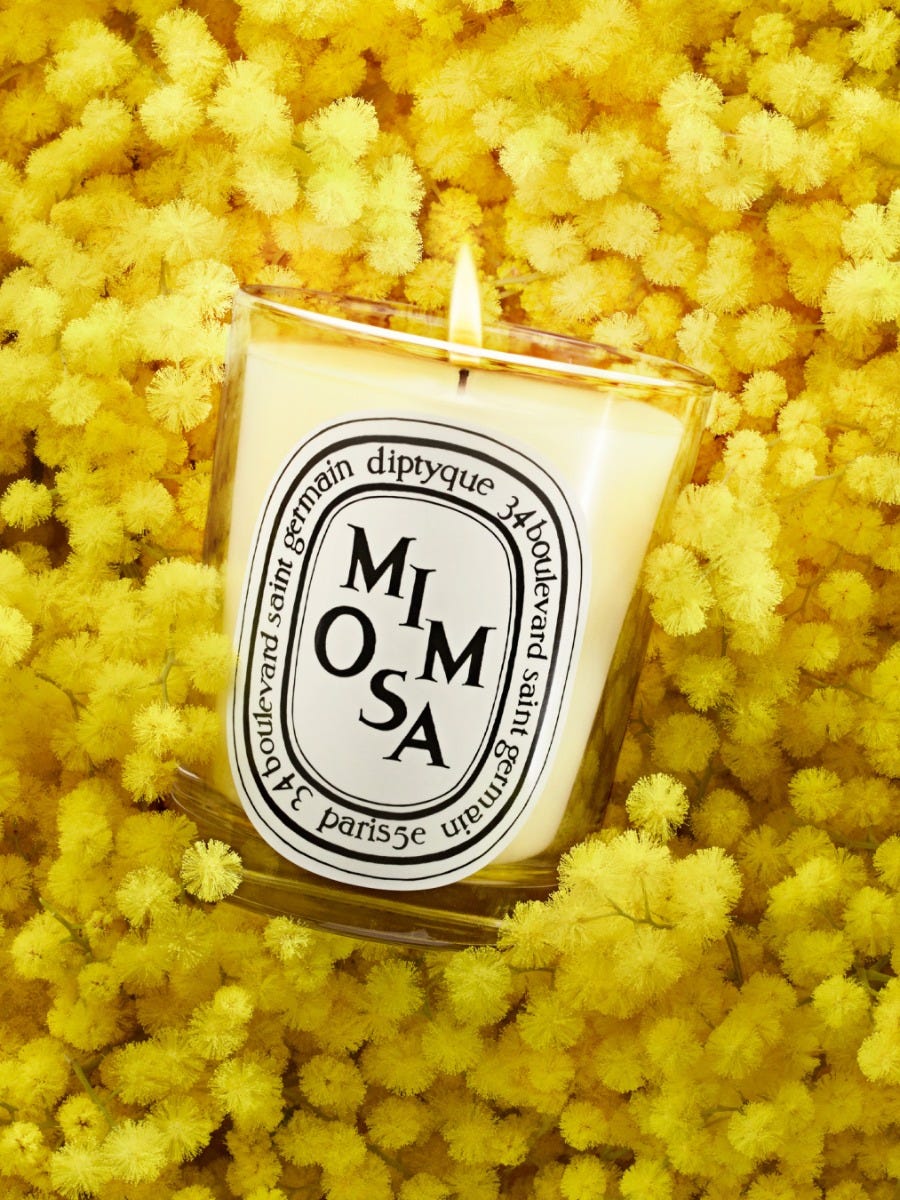 Mimosa - Small candle | Diptyque Paris