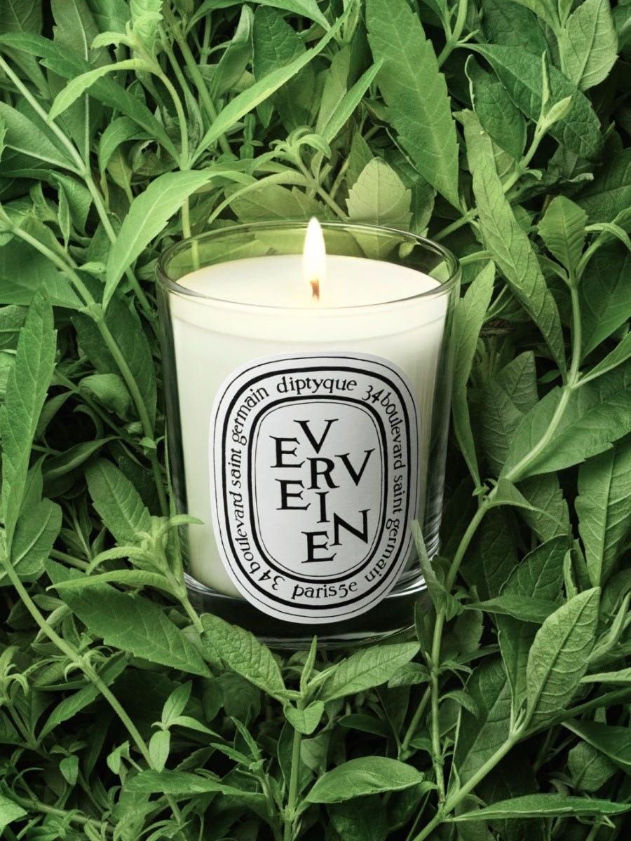 Verveine (Lemon Verbena) - Small candle | Diptyque Paris