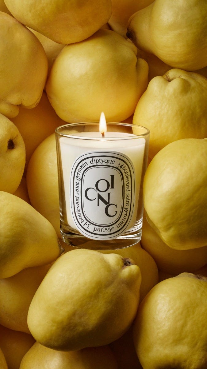 Coing (Quince) - Classic candle | Diptyque Paris