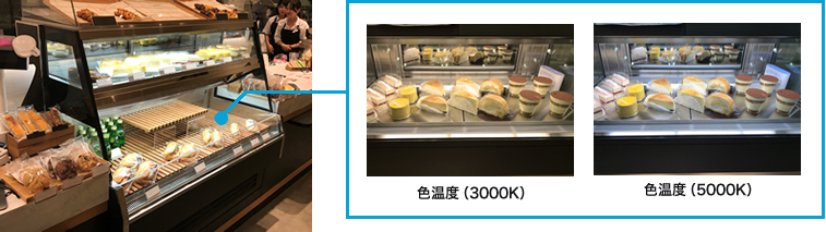 特注ショーケース トップ | 製品情報 | 大和冷機工業株式会社