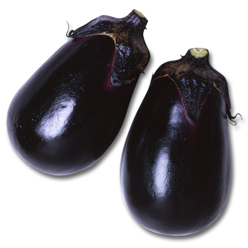 水の匠[ナス] - e-種や｜国内最大級の野菜種・花種・苗・農業資材の販売店