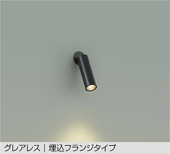 DAIKO | スポットライト | コネクトオンライン