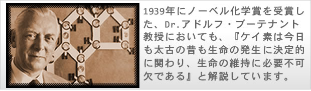 ケイ素（シリカ）のサプリ「シリシア」自然療法先進国ドイツで人気NO.1