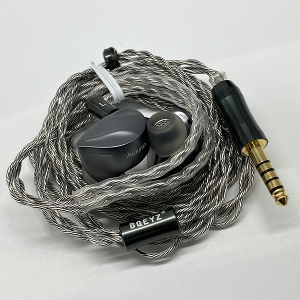 BQEYZ 【中古】Autumn アッシュグリーン (4.4mmプラグ)【秋葉原】 – e