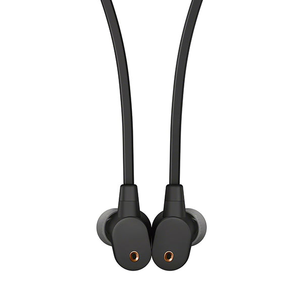 SONY WI-1000XM2 – e☆イヤホン