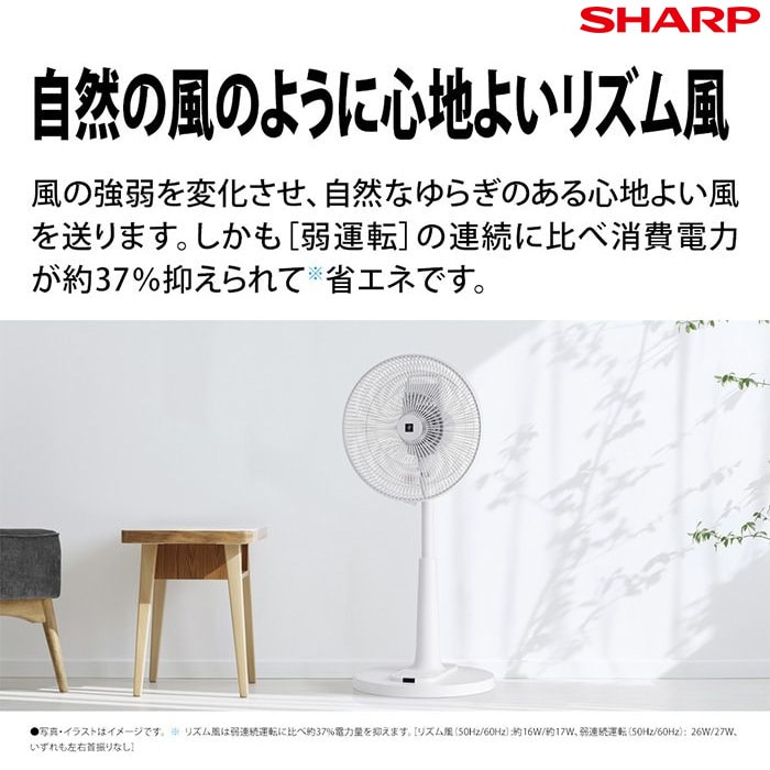 SHARP プラズマクラスター扇風機 PJ-T3AS: 生活雑貨・家電／はぴねすくらぶ