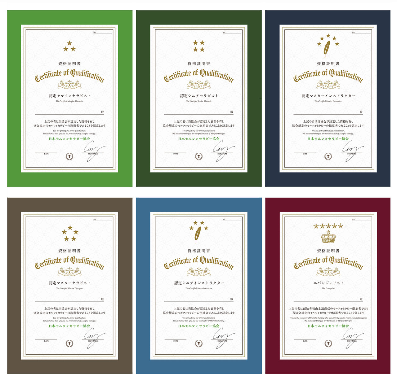 モルフォセラピー - 品川接骨院グループ