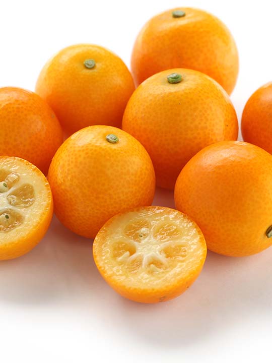 翠然フルーツ〉宮崎県産 完熟金柑 たまたまエクセレント 1㎏ | 高級