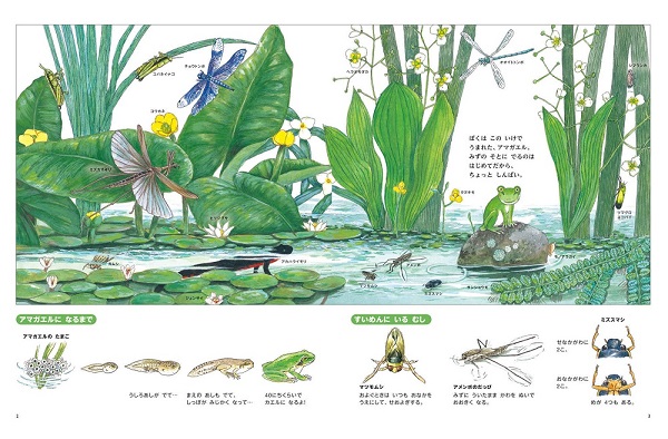 カエルくんのだいはっけん！ | 松岡 達英,松岡 達英 | 5件のレビュー