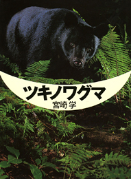 ツキノワグマ | 宮崎 学 | 絵本ナビ：レビュー・通販