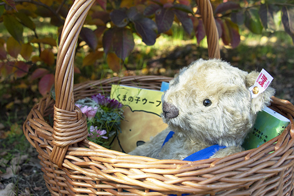 送料無料）くまの子ウーフ×シュタイフ ぬいぐるみ | 絵本ナビ | グッズ