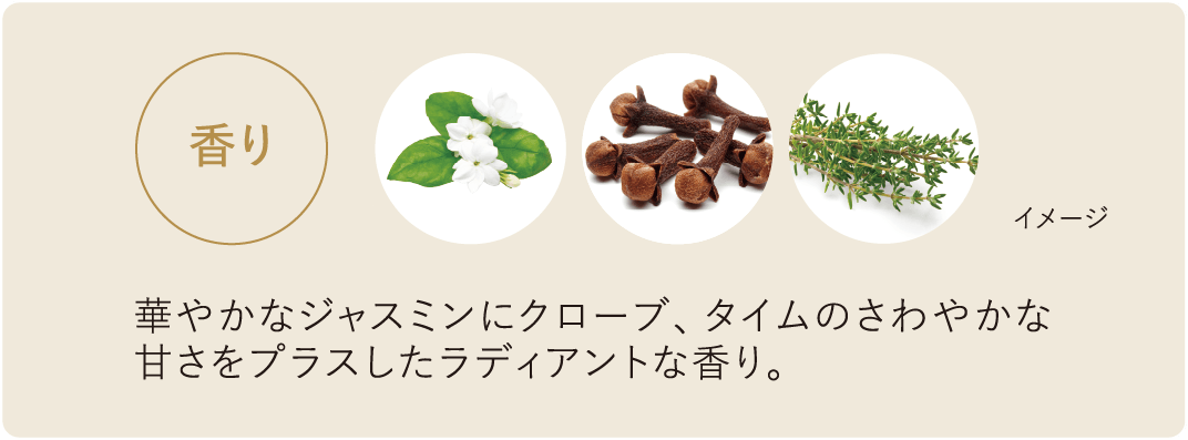 プレサート エナファイン | ESTESSiMO（エステシモ）