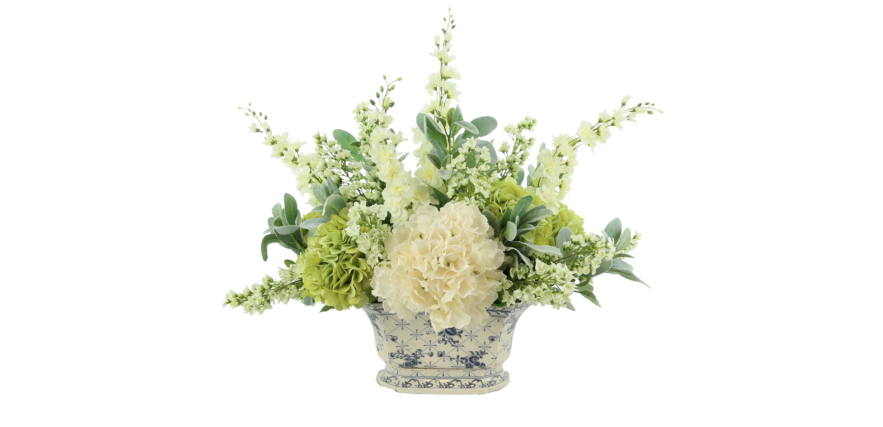 Hydrangea Byzantina in Cache Pot | Green & White Hydrangea | Lambs