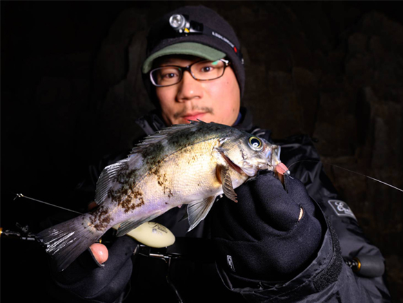 EVERGREEN（エバーグリーン インターナショナル） - SPRS-76MH-S