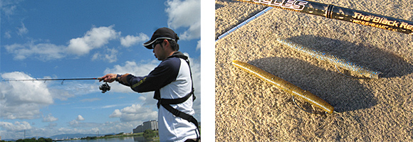 EVERGREEN（エバーグリーン インターナショナル） – ヘラクレス