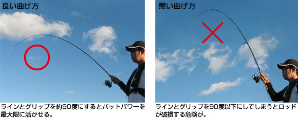 EVERGREEN（エバーグリーン インターナショナル） – ヘラクレス