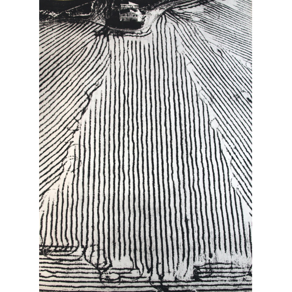 La buona terra”シリーズより/マリオ・ジャコメッリ 【Mario