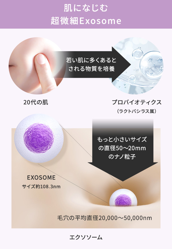 正規品】t:aimティエイム ExoRN 美容液 Ampoule (30ml)|ビューティー