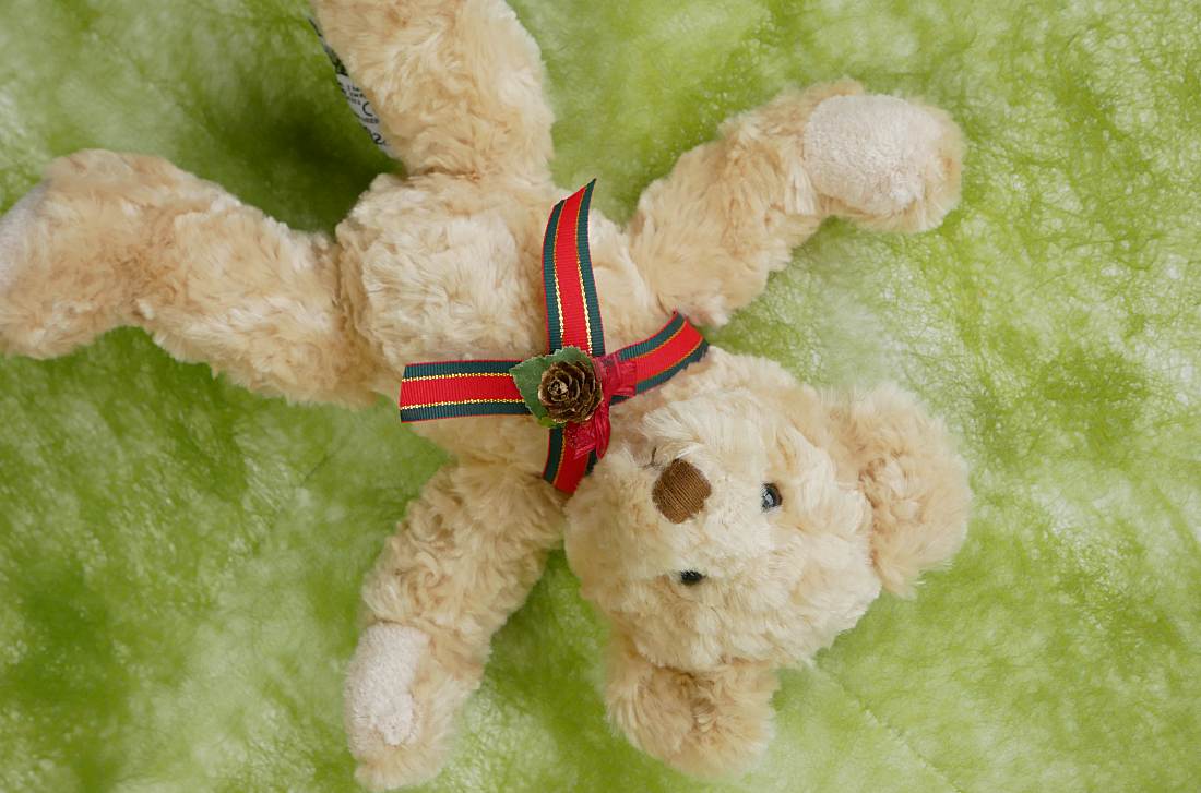 クリスマス ベア｜冬限定のぬいぐるみ祝電ギフト【For-Denpo】