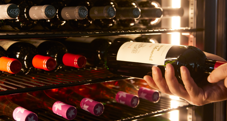 LongFresh ロングフレッシュ ST-NV271/ST-NV271L | ワインセラーの