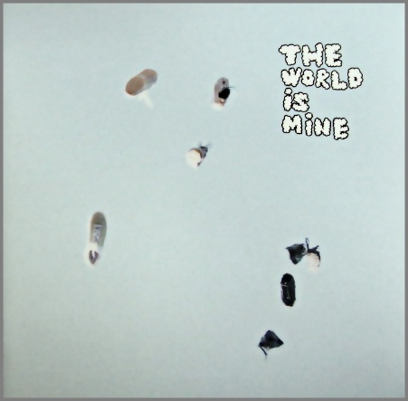 くるり - THE WORLD IS MINE VICL-60854/中古CD・レコード・DVDの超