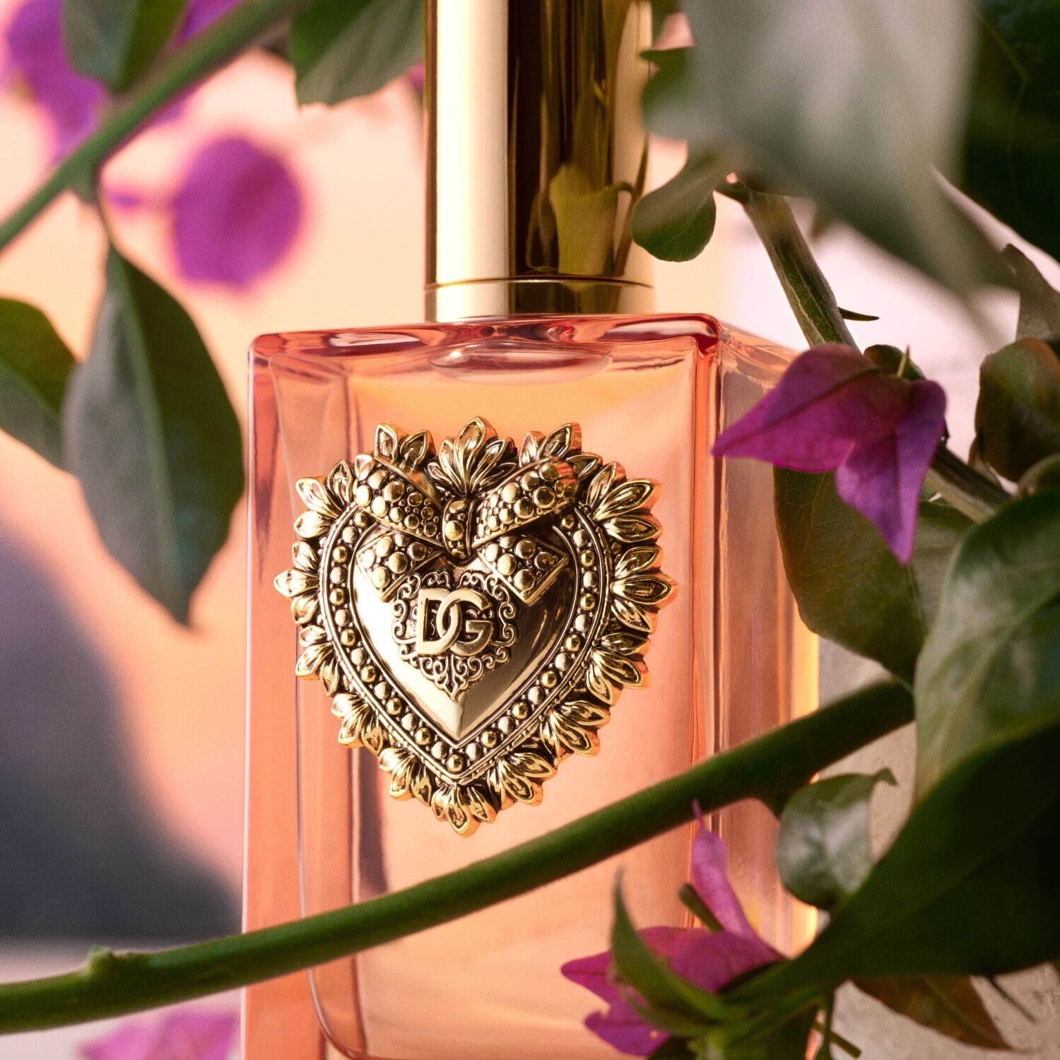 ドルチェ＆ガッバーナ24年秋フレグランス「ディヴォーション」心地よい