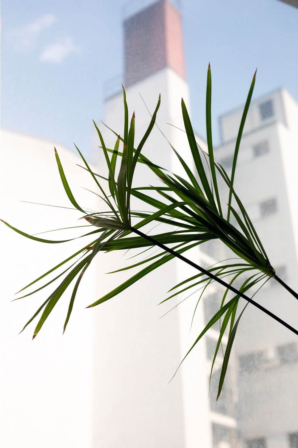 ヴォルフガング・ティルマンスの展覧会「Moments of life」エスパス