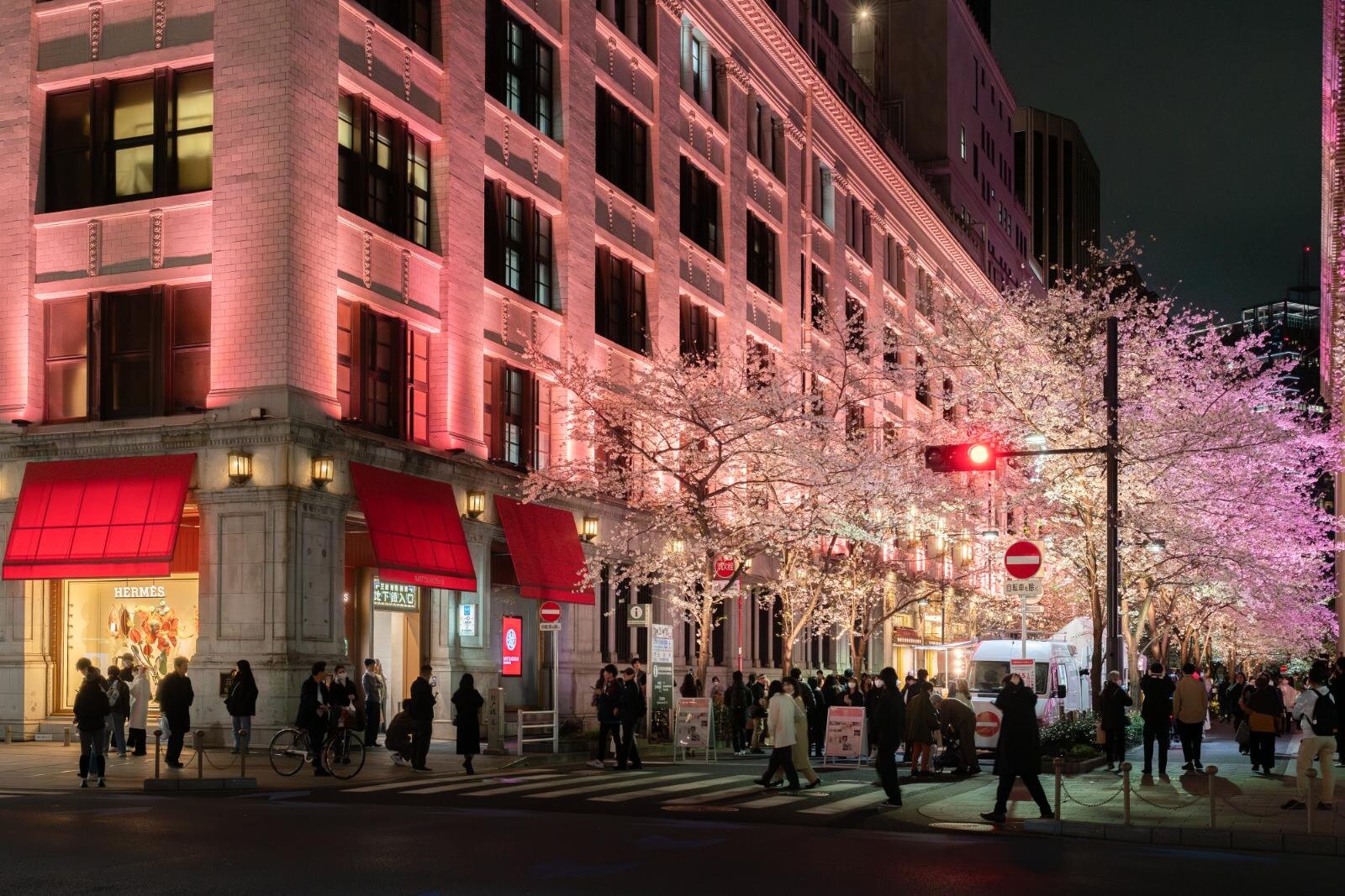 サクラ フェス ニホンバシ 2026」夜の日本橋が”桜色”にライトアップ