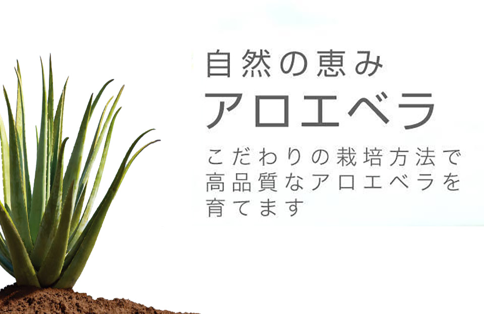 商品紹介 ｜ フォーエバーリビングプロダクツ ジャパン