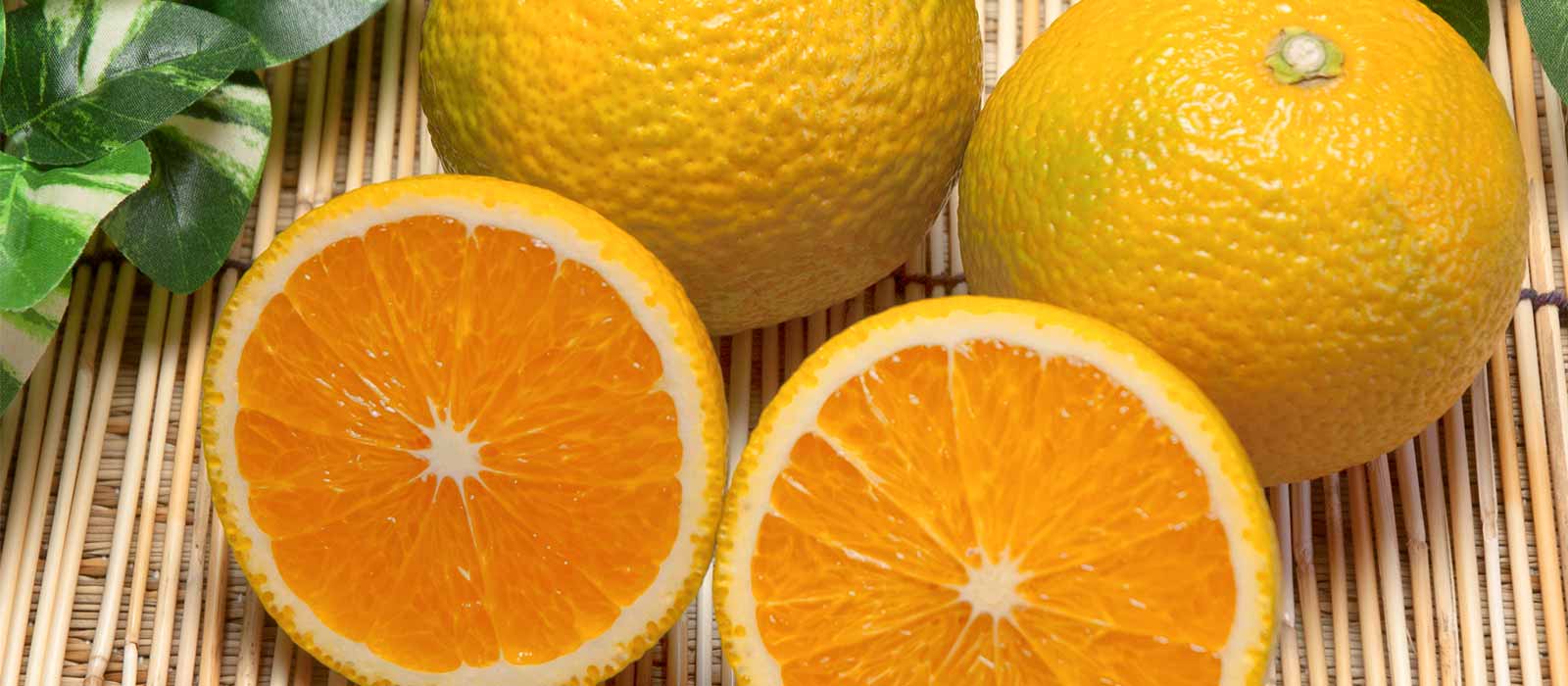 無農薬・自然農法・有機農産物などの産直通販 ふるさと21 / スイート