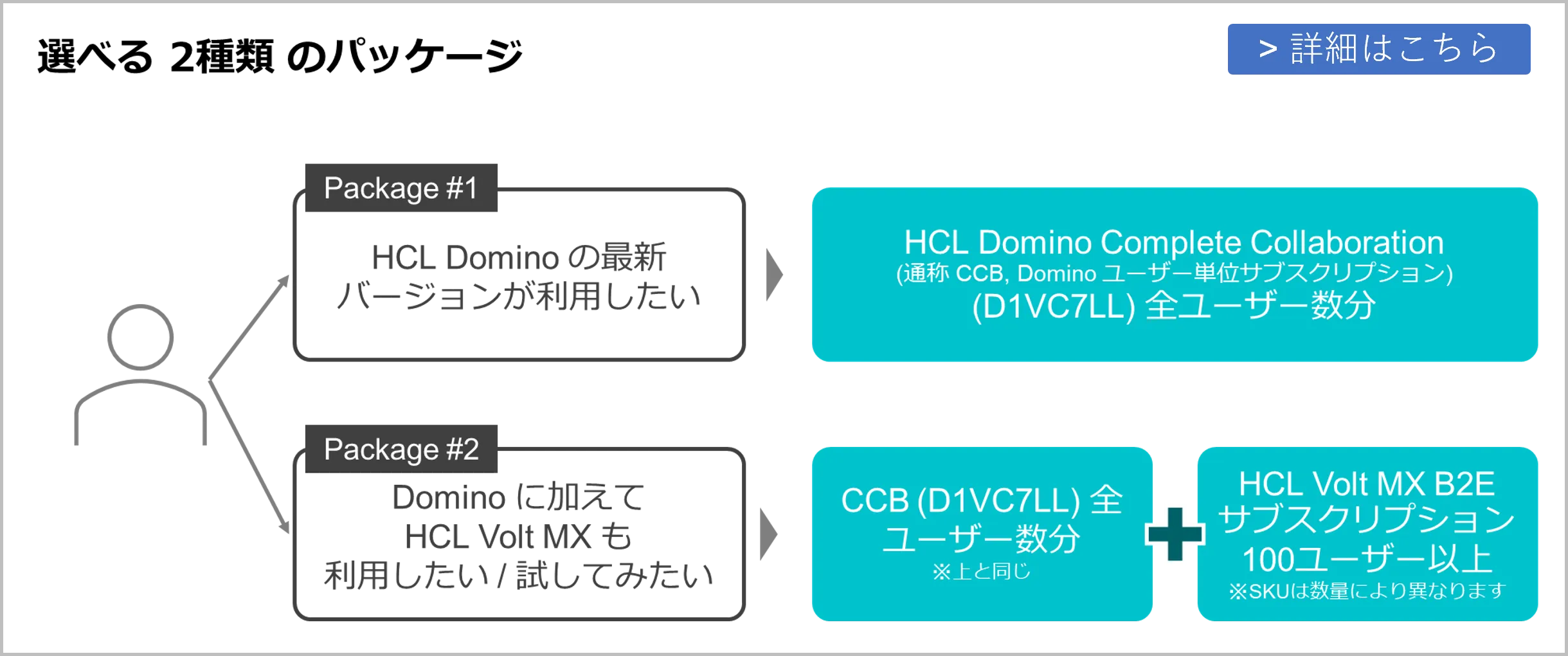 Notes / Domino サービス ｜富士ソフト株式会社