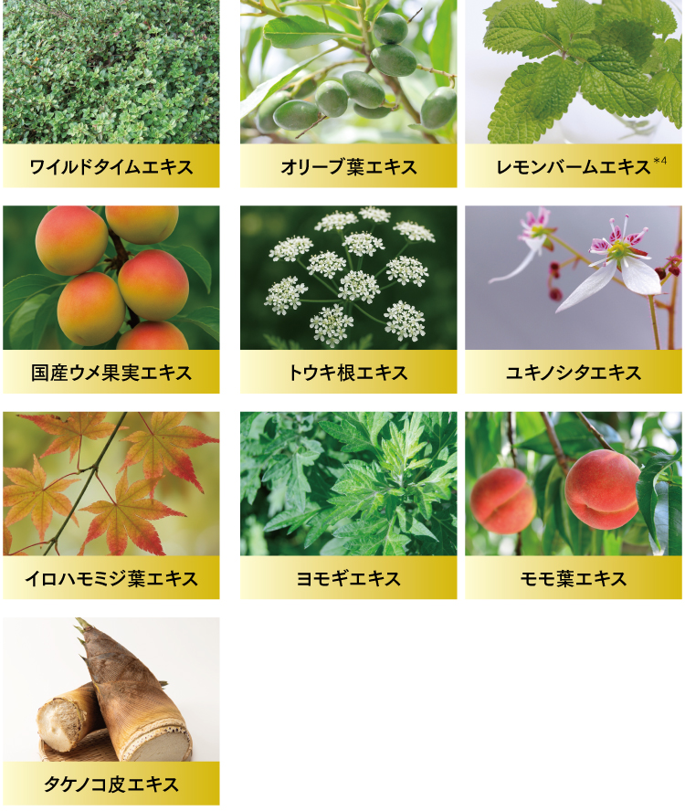 FTCザ・プレステージケア ダイヤモンドパーフェクション セラミストF