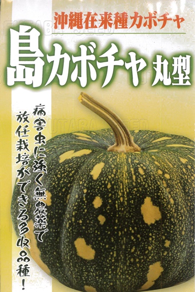 野菜・熱帯果樹の種 ＞ かぼちゃ ＞ 沖縄 島カボチャ（丸型） 【約15粒入】