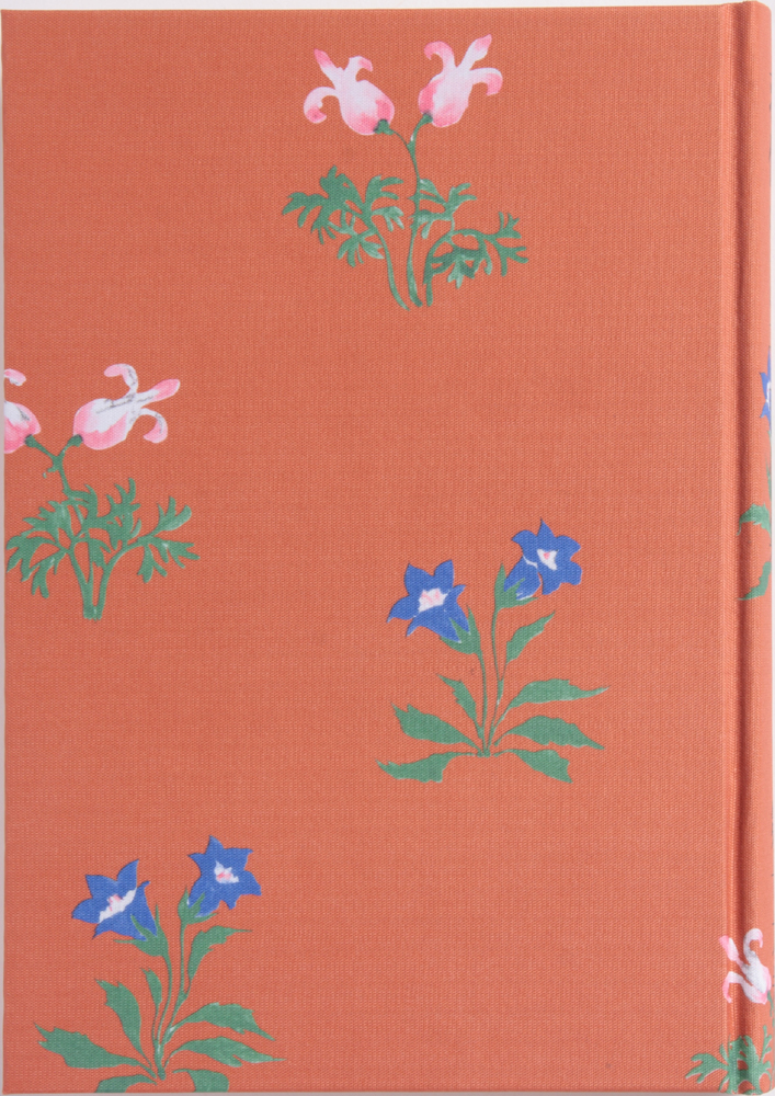 羽仁もと子著作集 第19巻 友への手紙（新版） ｜ 婦人之友社 さあ