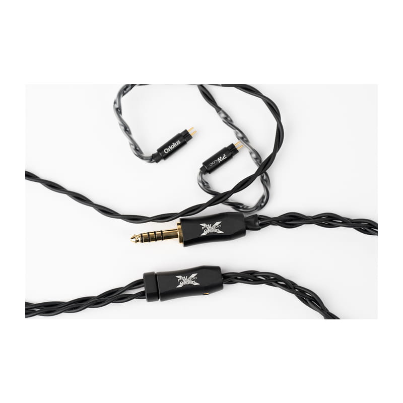 Oriolus Monachaa 新品｜フジヤエービック