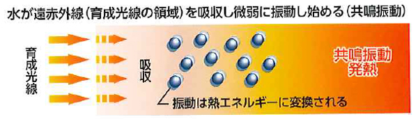 肩温蒸うるおい｜フランス総合医療株式会社