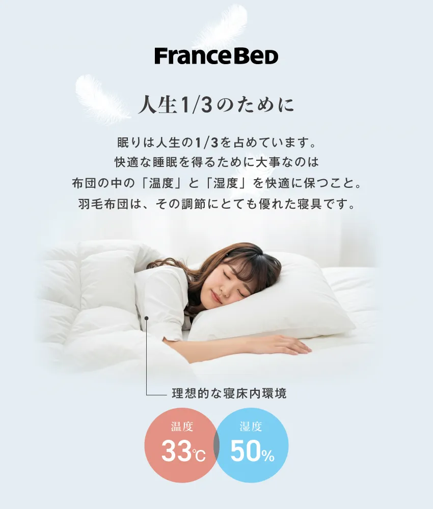 フランスベッド フレキシブルフィット羽毛ふとん FF-01 RS-D90