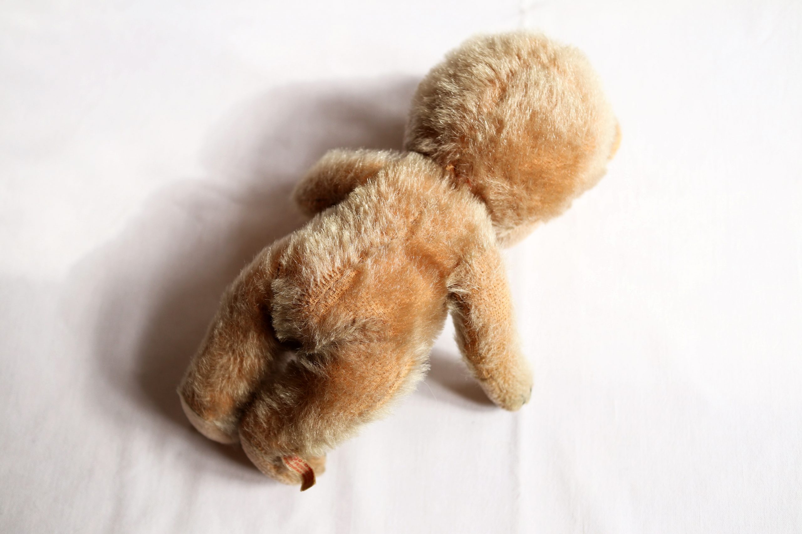 Schuco ヴィンテージテディベア Puzzi Bigo Bello | Frau Vintage