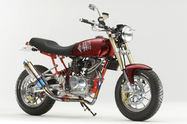 エイプ50、100 スイングアーム NSR(タイプD) リンクレスタイプ2 各種