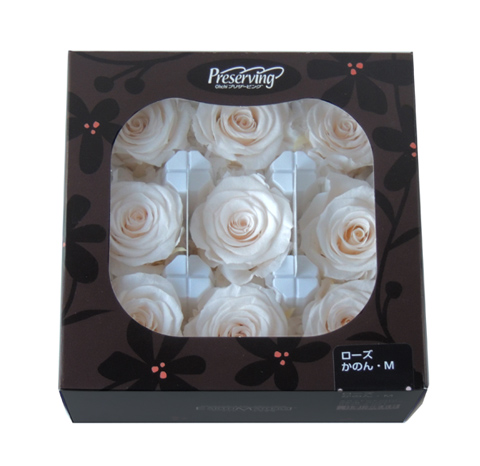 アウトレット・大地農園・ローズ9輪【かのんM】 | プリザーブド