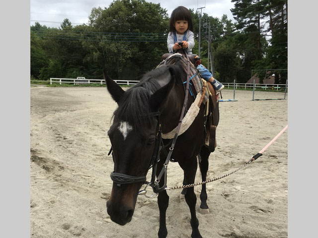 北杜市観光協会小淵沢支部/ララミー牧場