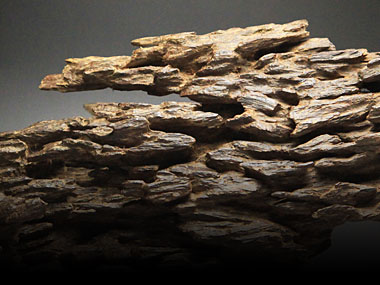 伽羅の通販・販売｜最上級品の伽羅を香木鑑定士が厳選｜お香専門店【香源】