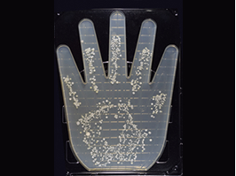 ハンドドライヤー KAT-0551/W｜家事／リビング｜キッチン・リビング