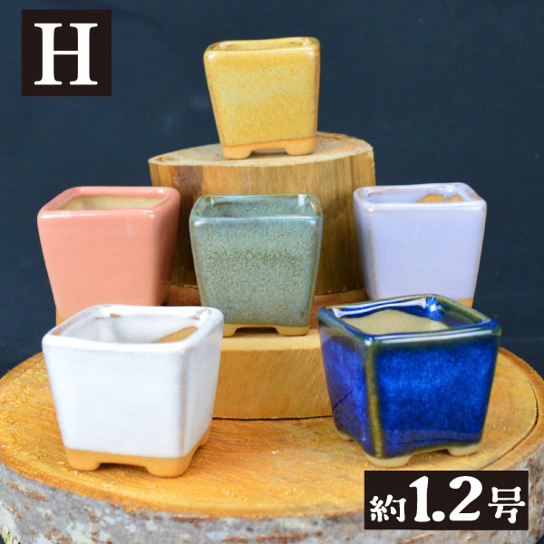 国華園オンラインショップ / まめ盆栽鉢 匠 7種 （1箱4～6個入り