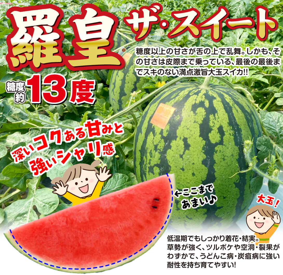 国華園オンラインショップ / 種 野菜たね 大玉スイカ F1羅皇 ザ