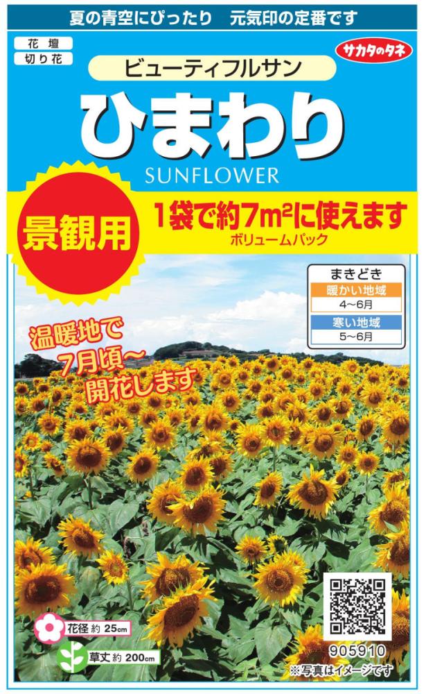 景観用大袋ヒマワリビューティフルサン の通販 | ホームセンター